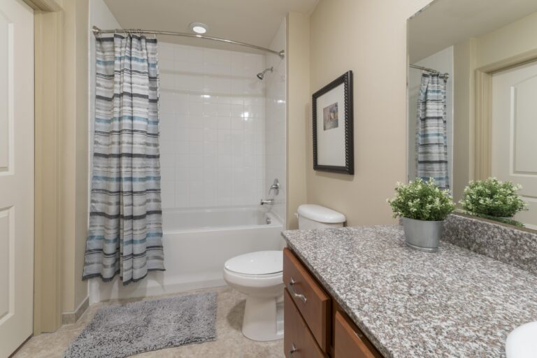 Modern bathroom with a granite countertop, potted plant, toilet, bathtub with a striped shower curtain, gray rug, and framed wall art above the toilet. Light tile floor and neutral-colored walls.