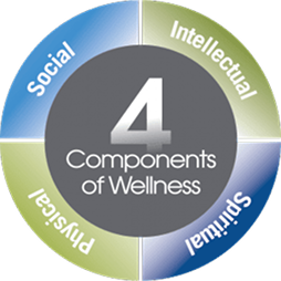 A circular diagram with 4 Components of Wellness in the center, surrounded by four sections labeled Social, Intellectual, Spiritual, and Physical in different colors.